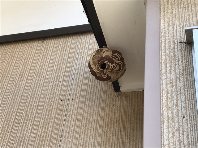 ハチの巣駆除 ハチの巣駆除